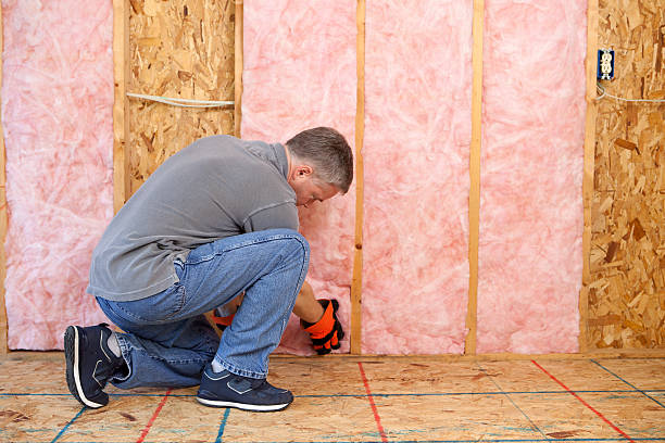 Best Specialized Insulation Services in Ada, OH